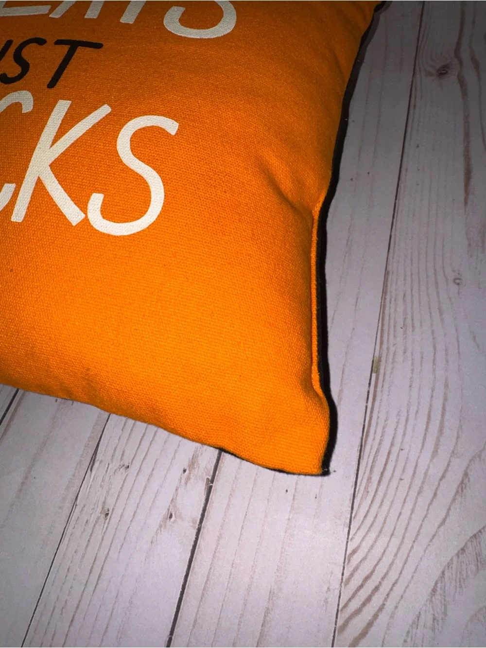 Reversible Halloween pillow